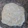 El cooksnap de Vanina Romano cuando hizo Masa para fajitas o wraps.