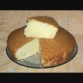 El cooksnap de anita cuando hizo Torta de aceite.