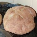El cooksnap de Lu Acosta cuando hizo Pan casero (sin grasa)✌🏼🥖.
