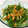 El cooksnap de Equipo Cookpad cuando hizo Ensalada de rúcula, pollo, queso de cabra y aguacate con vinagreta de módena y miel.