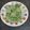 Bina Samir Telivala's cooksnap of when they made Green Garlic cubes.