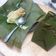 Cooksnap dari Harina Yuhetty untuk resep Carang Gesing Solo