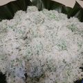 Cooksnap dari Nidith untuk resep Kue klepon