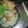 Cooksnap dari @dokterdianna untuk resep Cwie Mie Malang