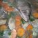 Cooksnap dari Ditha Nurdianingsih untuk resep Sup ikan tongkol bening
