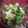 Cooksnap dari Fathya Aisyah untuk resep Urap Sayur