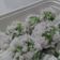 Cooksnap dari Imas Khasanah untuk resep Klepon
