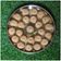 Vyas Ekta 's cooksnap of when they made ચુરમાના લાડુ (Churma Ladoo Recipe In Gujarati).