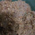 Cooksnap dari Nurul Farida untuk resep Bumbu Pecel Khas Madiun Resep Turun Temurun