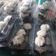 Cooksnap dari Bey untuk resep Brownies kukus ekonomis untuk jualan
