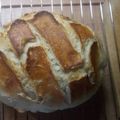 ggg087 Cooksnap-ja, amikor elkészítette a(z) Kovászolt kenyér receptet.