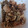 El cooksnap de Las Recetas de Felichef cuando hizo Coliflor especiada en olla de cocción lenta CrockPot.
