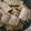 El cooksnap de Barbara cuando hizo Crackers de avena y semillas.