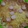 Cooksnap dari Tika Ria Patricia untuk resep Omlet Mie (Martabak Mie)