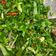 Cooksnap dari Cindy SARAS untuk resep Oseng Daun Kencur Pedas