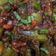 Cooksnap dari Nunung Afuah untuk resep Terong goreng sambal bawang