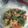 Cooksnap dari lydia desmaniar untuk resep Cah Sawi Udang