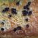 Cooksnap dari Lina untuk resep Pumpkin & Cheese Cake -Keto