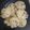 Hemali Bosmia's cooksnap of when they made ઈડલી રેસિપી.