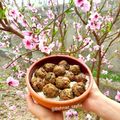 کوک اسنپ Ashpazi Ba Behnaz بعد از امتحان کردن کباب علی نازیک با بادمجان 😋.