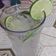 Cooksnap dari Ade Irma Chakti untuk resep Sweet Daiquiri Mocktail