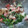 El cooksnap de MaryGlory cuando hizo Cóctel de langostinos y palitos de surimi.