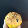 Dia Cooksnap-ja, amikor elkészítette a(z) Áfonyás fehércsokis muffin receptet.