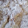 Cooksnap από Lyudmyla Andriyenko στη συνταγή Κέικ μήλου χωρίς μίξερ!
