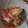 Cooksnap dari mila atmajaya untuk resep Ikan Kakap Asam Manis Tanpa Saus Tomat