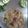 Deepa Agnani's cooksnap of when they made હેલ્ધી પાલક પરાઠા (Healthy Palak Paratha Recipe In Gujarati).