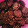 Cooksnap dari Rany Maulina untuk resep Coklat Mede Cookies Super Crunchy Crispy  & Nyoklat rekomend (#kuelebaran)