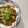 Cooksnap dari yochigga untuk resep Oyakodon (Nasi Ayam Telur)
