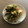 El cooksnap de Dagoberto cuando hizo Choritos en salsa verde.