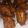 MMsMama's cooksnap of when they made Sunshines fried chicken wings.