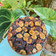 Cooksnap dari ghearisalia untuk resep Banana Cake Ala Farah Quinn (2 telur, moist tanpa mixer)