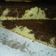 El cooksnap de Yami Becerra cuando hizo Torta matera.