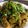 chef Nidhi Bole's cooksnap of when they made પાલકની ભાજીના મુઠીયા(Palak bhaji na muthiya recipe in Gujarati).