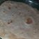 El cooksnap de Sofi Sosa cuando hizo Fajitas para tacos, burritos o quesadillas.