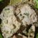 Cooksnap dari Sul Lastri untuk resep Mendoan Cilacap