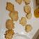 小文查 的 杏仁瓦片 cooksnap
