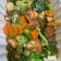Cooksnap dari Yanti untuk resep Sapo Tahu ala resto