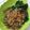 Cooksnap dari Dhe Mila untuk resep Pokcoy Simple
