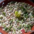 Cooksnap από tzoulitsa στη συνταγή Σαλάτα με φακές και καστανό ρύζι