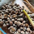 Cooksnap Cempaka Putih semasa beliau membuat Kerang Rebus Serai.