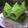 Cooksnap dari LyRa untuk resep Lemper Ayam