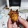 El cooksnap de mercedes sanchez cuando hizo Buñuelos dulces.