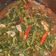 Cooksnap dari Hary Yadi untuk resep Tumis Kangkung Sarden
