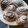 El cooksnap de gabriela gagus cuando hizo Rollos de canela (cinnamon rolls).