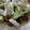 El cooksnap de Laura B cuando hizo Tortilla rellena de champiñones y queso fresco.