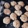 El cooksnap de Jacqueline Beledo cuando hizo Galletas de avena súper fácil!.